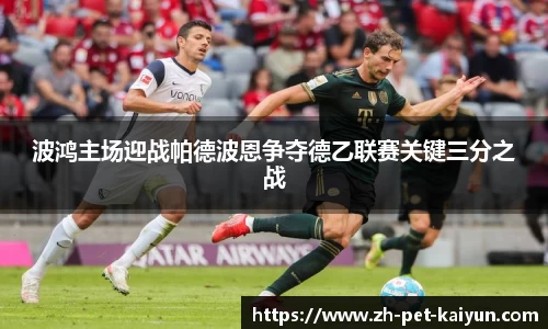 波鸿主场迎战帕德波恩争夺德乙联赛关键三分之战
