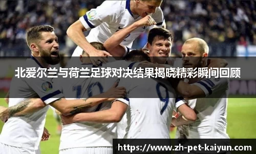 北爱尔兰与荷兰足球对决结果揭晓精彩瞬间回顾