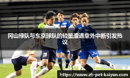 冈山绿队与东京球队的较量遭遇意外中断引发热议