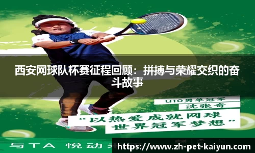 西安网球队杯赛征程回顾：拼搏与荣耀交织的奋斗故事