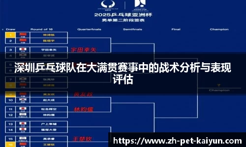深圳乒乓球队在大满贯赛事中的战术分析与表现评估