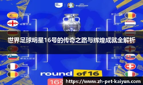 世界足球明星16号的传奇之路与辉煌成就全解析