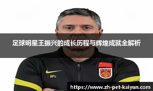 足球明星王振兴的成长历程与辉煌成就全解析