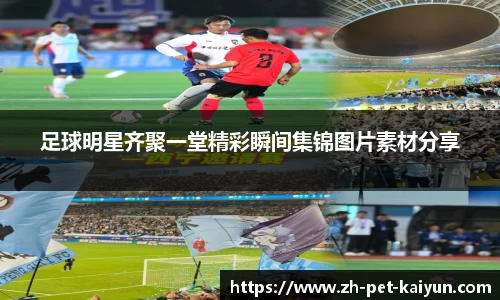 足球明星齐聚一堂精彩瞬间集锦图片素材分享