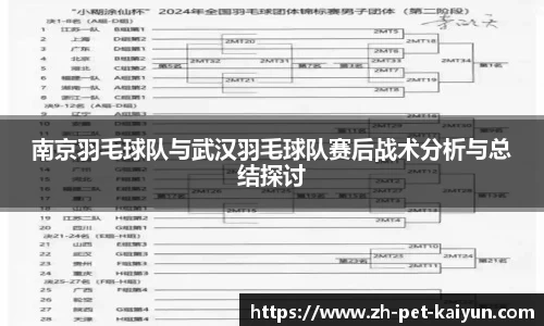 南京羽毛球队与武汉羽毛球队赛后战术分析与总结探讨